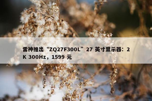 雷神推出“ZQ27F300L”27 英寸显示器：2K 300Hz，1599 元