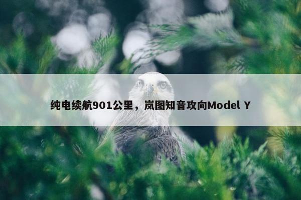 纯电续航901公里，岚图知音攻向Model Y