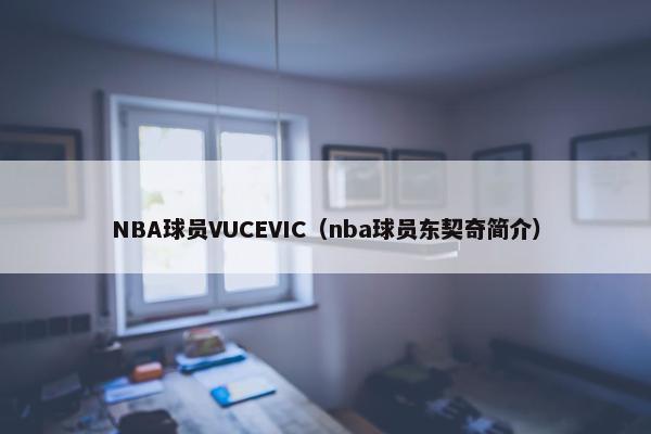 NBA球员VUCEVIC（nba球员东契奇简介）