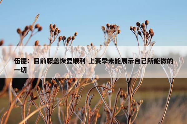 伍德：目前膝盖恢复顺利 上赛季未能展示自己所能做的一切