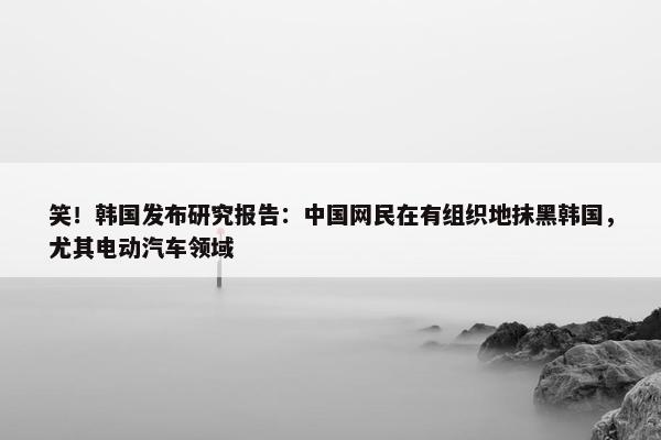 笑！韩国发布研究报告：中国网民在有组织地抹黑韩国，尤其电动汽车领域