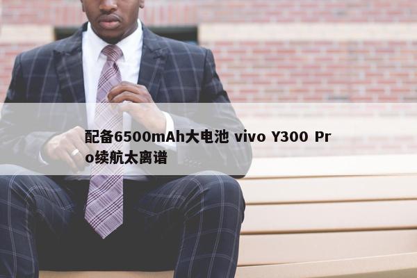 配备6500mAh大电池 vivo Y300 Pro续航太离谱