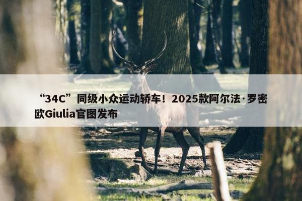 “34C”同级小众运动轿车！2025款阿尔法·罗密欧Giulia官图发布