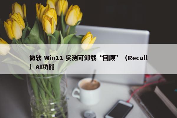 微软 Win11 实测可卸载“回顾”（Recall）AI功能