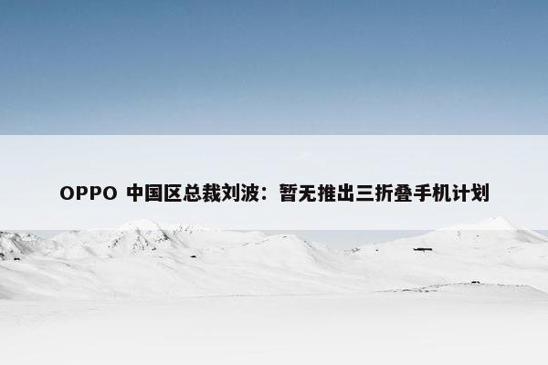 OPPO 中国区总裁刘波：暂无推出三折叠手机计划