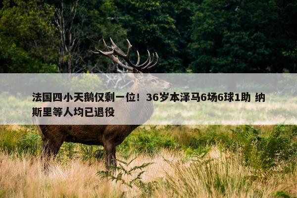 法国四小天鹅仅剩一位！36岁本泽马6场6球1助 纳斯里等人均已退役