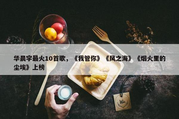 华晨宇最火10首歌，《我管你》《风之海》《烟火里的尘埃》上榜