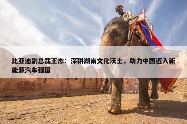 比亚迪副总裁王杰：深耕湖南文化沃土，助力中国迈入新能源汽车强国