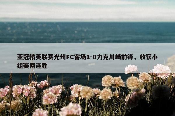 亚冠精英联赛光州FC客场1-0力克川崎前锋，收获小组赛两连胜