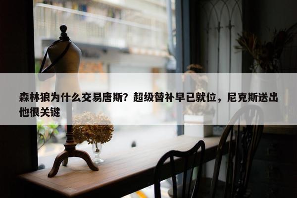 森林狼为什么交易唐斯？超级替补早已就位，尼克斯送出他很关键