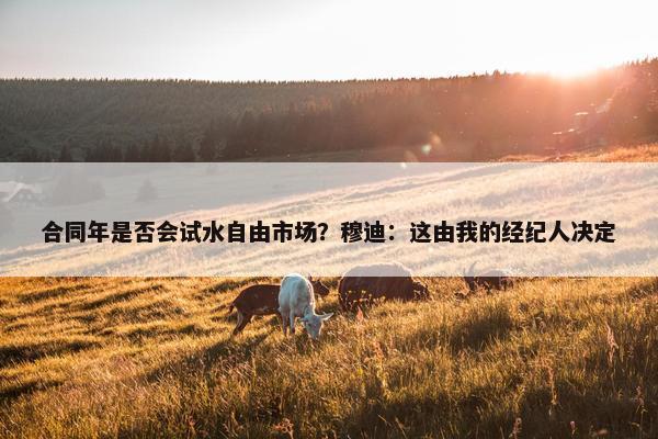 合同年是否会试水自由市场？穆迪：这由我的经纪人决定