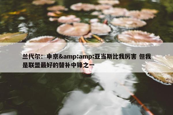 兰代尔：申京&亚当斯比我厉害 但我是联盟最好的替补中锋之一