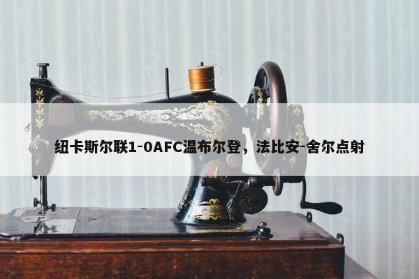 纽卡斯尔联1-0AFC温布尔登，法比安-舍尔点射