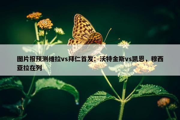 图片报预测维拉vs拜仁首发：沃特金斯vs凯恩，穆西亚拉在列