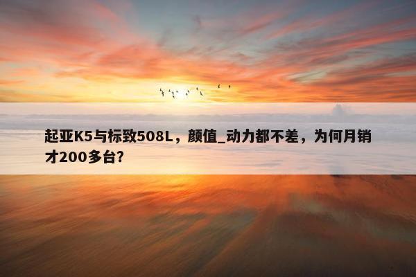 起亚K5与标致508L，颜值_动力都不差，为何月销才200多台？