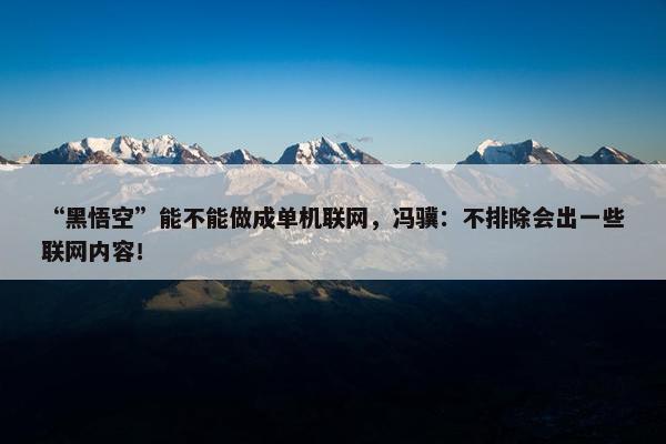 “黑悟空”能不能做成单机联网，冯骥：不排除会出一些联网内容！