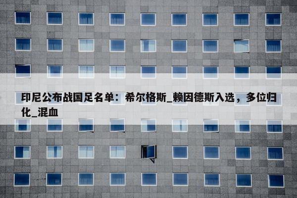 印尼公布战国足名单：希尔格斯_赖因德斯入选，多位归化_混血