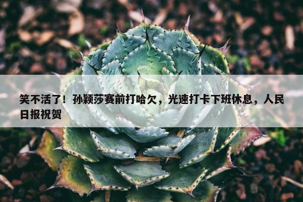 笑不活了！孙颖莎赛前打哈欠，光速打卡下班休息，人民日报祝贺