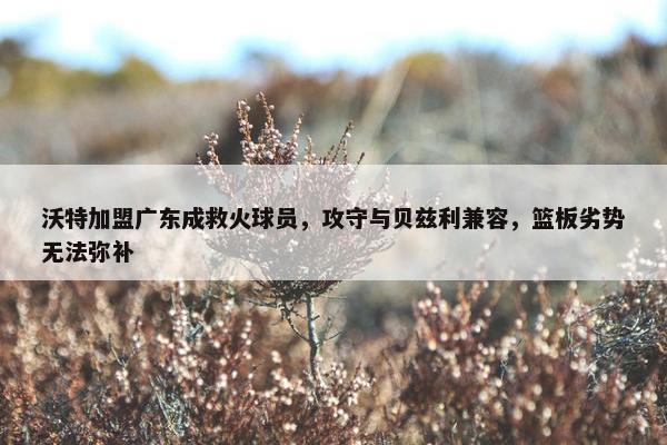 沃特加盟广东成救火球员，攻守与贝兹利兼容，篮板劣势无法弥补