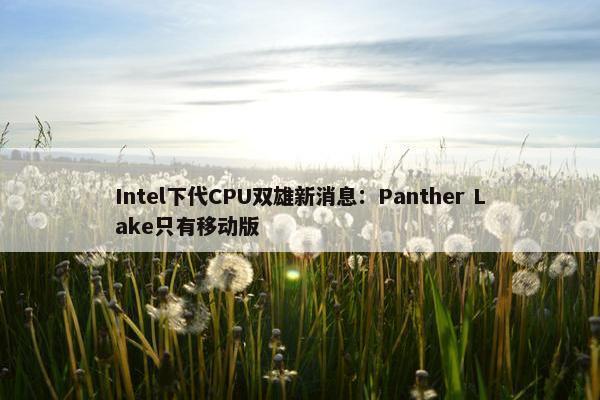 Intel下代CPU双雄新消息：Panther Lake只有移动版