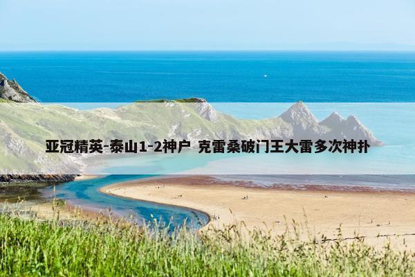 亚冠精英-泰山1-2神户 克雷桑破门王大雷多次神扑