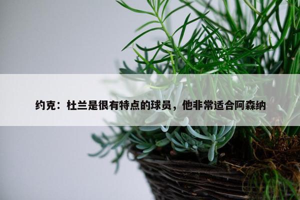 约克：杜兰是很有特点的球员，他非常适合阿森纳