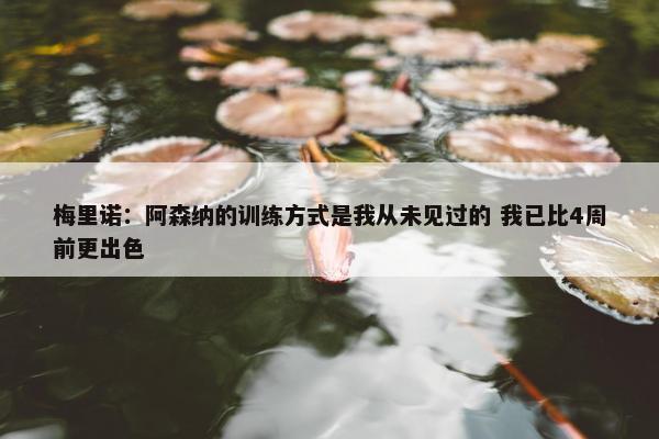 梅里诺：阿森纳的训练方式是我从未见过的 我已比4周前更出色