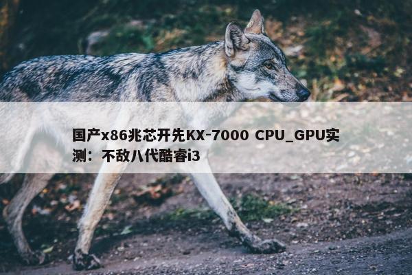 国产x86兆芯开先KX-7000 CPU_GPU实测：不敌八代酷睿i3