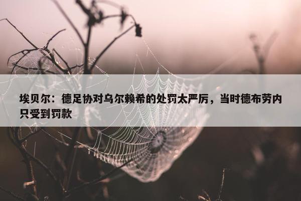 埃贝尔：德足协对乌尔赖希的处罚太严厉，当时德布劳内只受到罚款