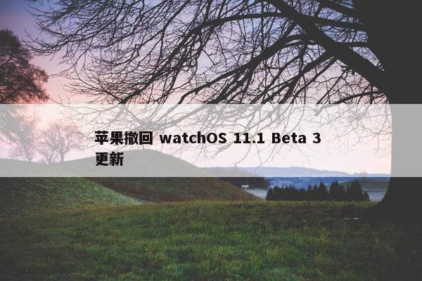 苹果撤回 watchOS 11.1 Beta 3 更新