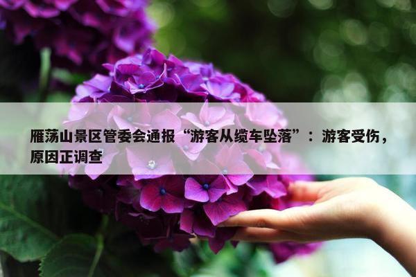 雁荡山景区管委会通报“游客从缆车坠落”：游客受伤，原因正调查