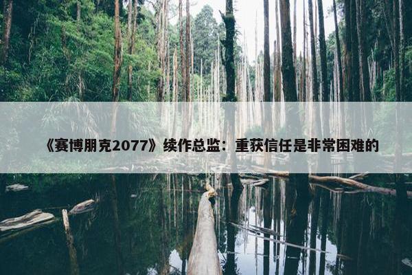 《赛博朋克2077》续作总监：重获信任是非常困难的