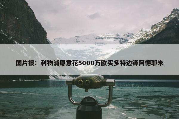 图片报：利物浦愿意花5000万欧买多特边锋阿德耶米