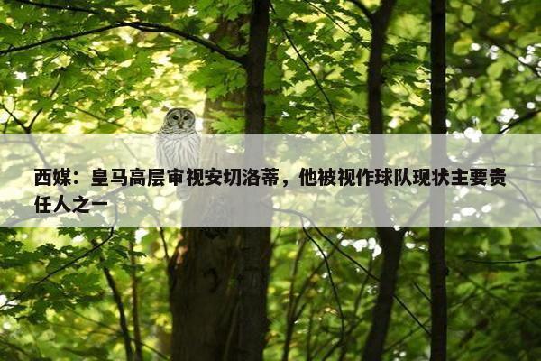 西媒：皇马高层审视安切洛蒂，他被视作球队现状主要责任人之一