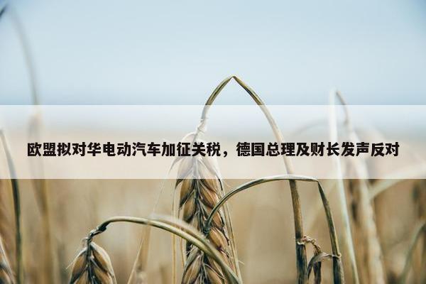 欧盟拟对华电动汽车加征关税，德国总理及财长发声反对