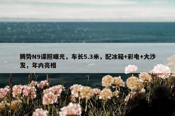 腾势N9谍照曝光，车长5.3米，配冰箱+彩电+大沙发，年内亮相