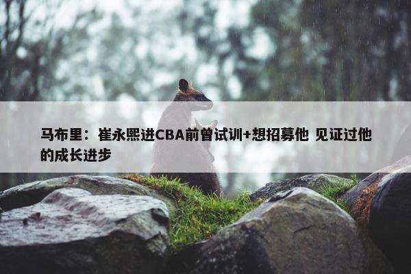 马布里：崔永熙进CBA前曾试训+想招募他 见证过他的成长进步