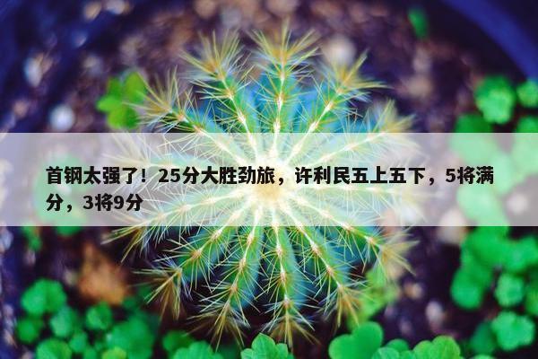 首钢太强了！25分大胜劲旅，许利民五上五下，5将满分，3将9分