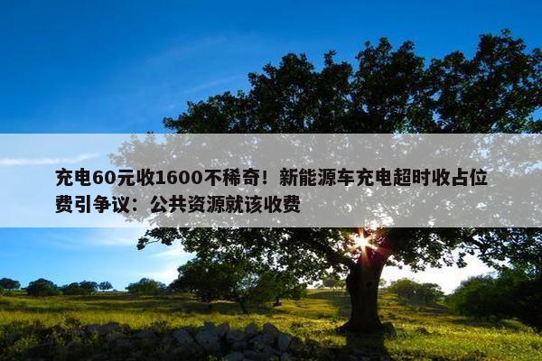 充电60元收1600不稀奇！新能源车充电超时收占位费引争议：公共资源就该收费