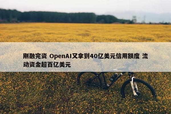 刚融完资 OpenAI又拿到40亿美元信用额度 流动资金超百亿美元