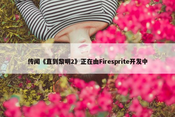 传闻《直到黎明2》正在由Firesprite开发中