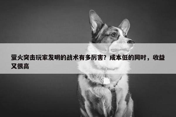 萤火突击玩家发明的战术有多厉害？成本低的同时，收益又很高