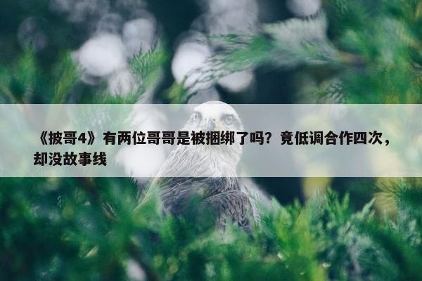 《披哥4》有两位哥哥是被捆绑了吗？竟低调合作四次，却没故事线