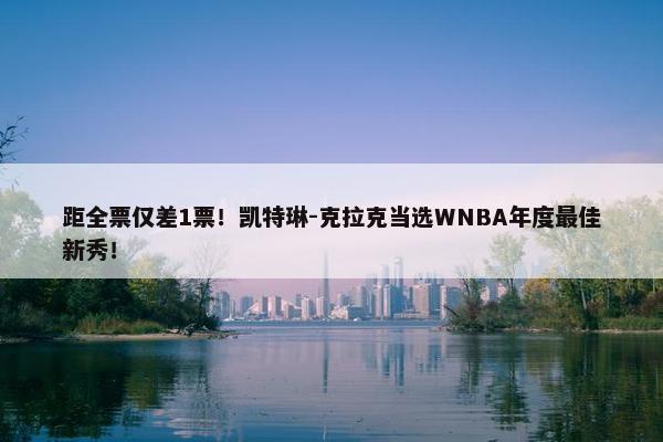 距全票仅差1票！凯特琳-克拉克当选WNBA年度最佳新秀！