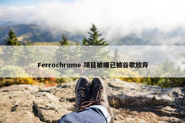 Ferrochrome 项目被曝已被谷歌放弃