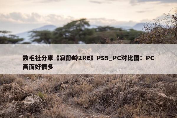 数毛社分享《寂静岭2RE》PS5_PC对比图：PC画面好很多