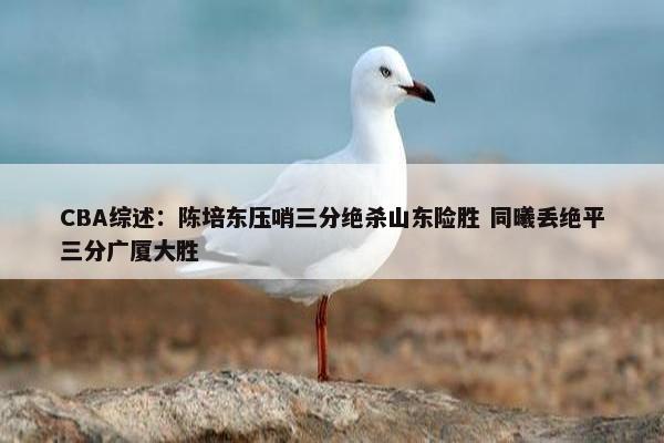 CBA综述：陈培东压哨三分绝杀山东险胜 同曦丢绝平三分广厦大胜