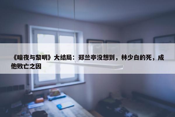 《暗夜与黎明》大结局：郑兰亭没想到，林少白的死，成他败亡之因