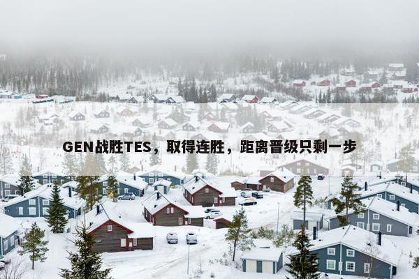 GEN战胜TES，取得连胜，距离晋级只剩一步