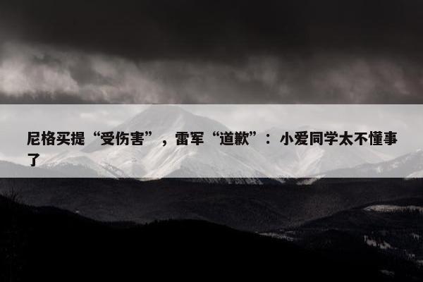 尼格买提“受伤害”，雷军“道歉”：小爱同学太不懂事了